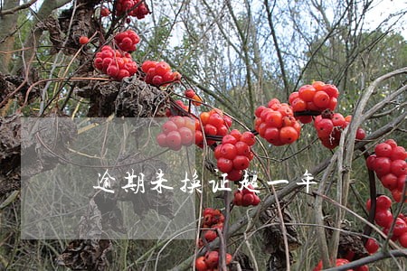 逾期未换证超一年 逾期未换证超一年