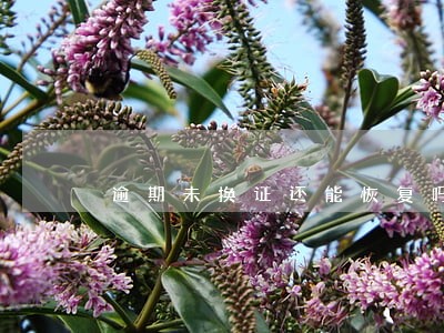 逾期未换证还能恢复吗 逾期未换证还能恢复吗