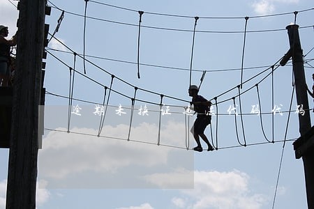 逾期未换证违法代码代码 逾期未换证违法代码代码