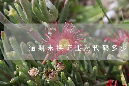 逾期未换证违法代码多少