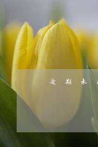 逾期未接催款电话 逾期未接催款电话