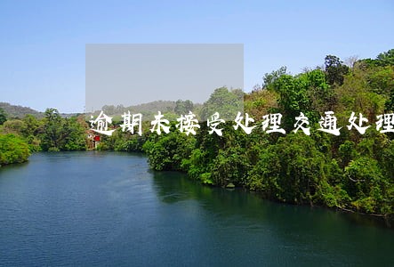 逾期未接受处理交通处理 逾期未接受处理交通处理