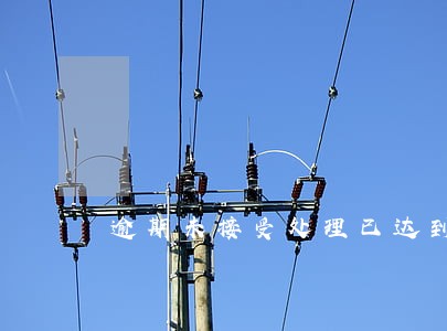 逾期未接受处理已达到报废标准 逾期未接受处理已达到报废标准