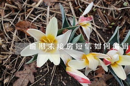 逾期未接房短信如何编辑 逾期未接房短信如何编辑