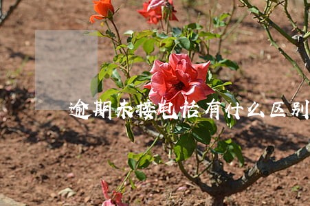 逾期未接电话有什么区别 逾期未接电话有什么区别