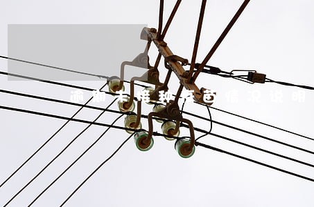 逾期未接种疫苗情况说明 逾期未接种疫苗情况说明