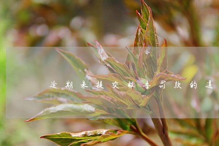 逾期未提交报告罚款的通知 逾期未提交报告罚款的通知