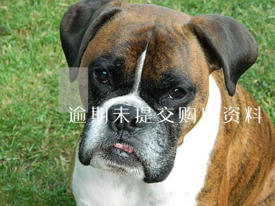 逾期未提交购房资料 逾期未提交购房资料