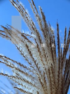 逾期未提出评估报告异议的