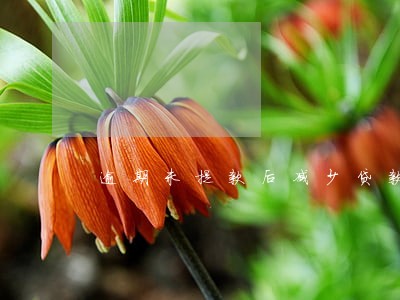 逾期未提款后减少贷款额度 逾期未提款后减少贷款额度