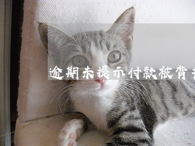 逾期未提示付款被背书人追索权 逾期未提示付款被背书人追索权