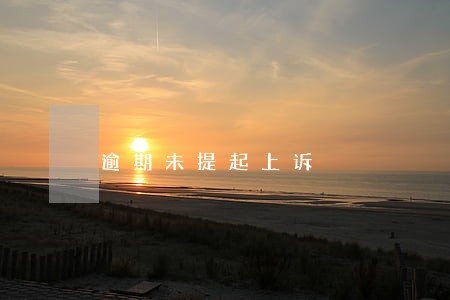 逾期未提起上诉 逾期未提起上诉