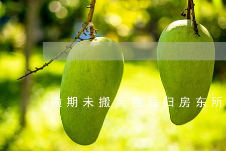 逾期未搬离物品归房东所有合法吗 逾期未搬离物品归房东所有合法吗