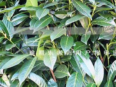 逾期未搬离用户将申请强制执行 逾期未搬离用户将申请强制执行