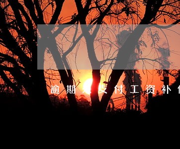 逾期未支付工资补偿金 逾期未支付工资补偿金