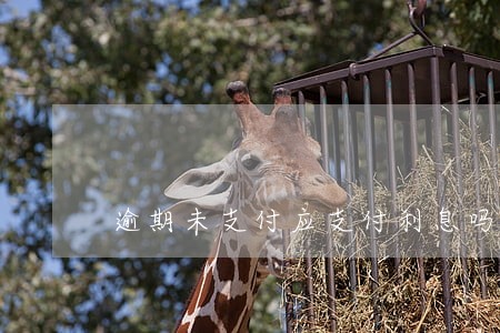 逾期未支付应支付利息吗 逾期未支付应支付利息吗