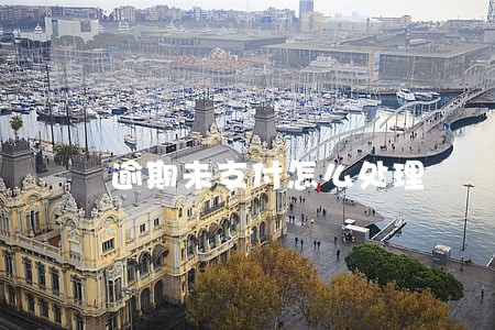 逾期未支付怎么处理 逾期未支付怎么处理