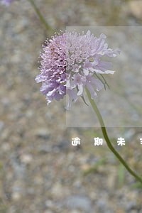 逾期未支付房租利息 逾期未支付房租利息