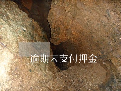 逾期未支付押金 逾期未支付押金