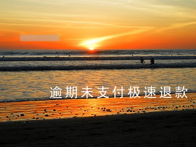 逾期未支付极速退款 逾期未支付极速退款