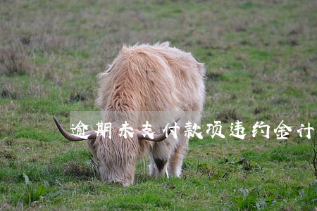 逾期未支付款项违约金计算 逾期未支付款项违约金计算