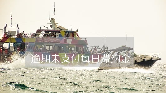 逾期未支付每日滞纳金 逾期未支付每日滞纳金