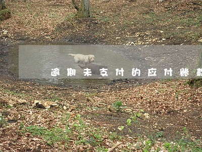 逾期未支付的应付账款 逾期未支付的应付账款