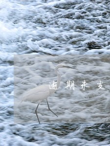 逾期未支付货款 逾期未支付货款