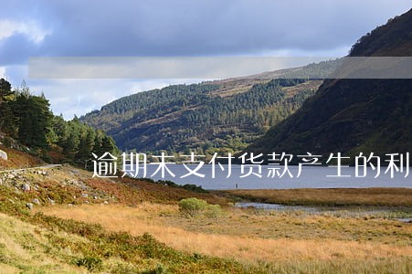 逾期未支付货款产生的利息 逾期未支付货款产生的利息