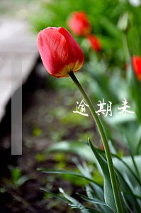 逾期未支付货款可否要求利息 逾期未支付货款可否要求利息