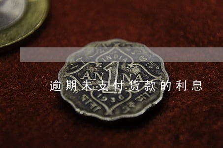 逾期未支付货款的利息 逾期未支付货款的利息