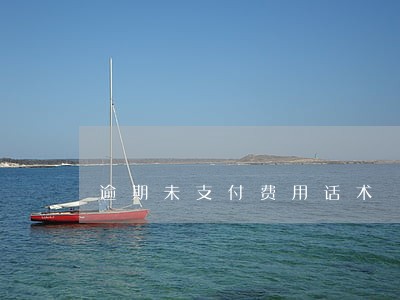 逾期未支付费用话术 逾期未支付费用话术