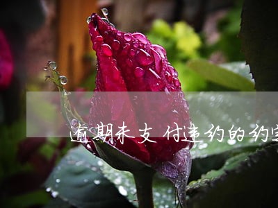 逾期未支付违约的约定 逾期未支付违约的约定