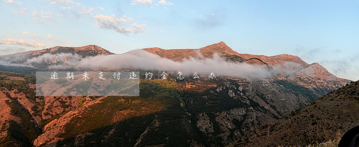 逾期未支付违约金怎么办 逾期未支付违约金怎么办