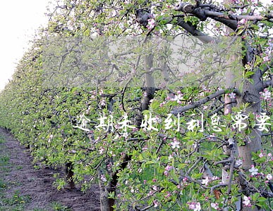 逾期未收到利息需要确认收入吗 逾期未收到利息需要确认收入吗