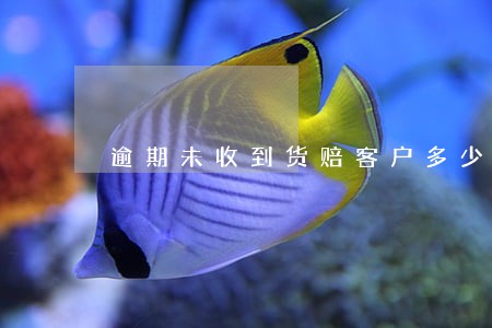 逾期未收到货赔客户多少钱 逾期未收到货赔客户多少钱