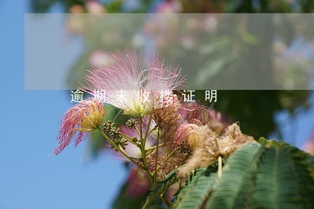 逾期未收楼证明 逾期未收楼证明
