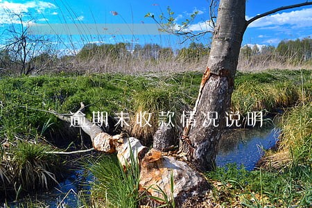 逾期未收款情况说明