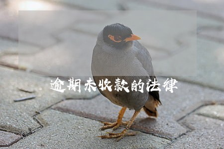 逾期未收款的法律