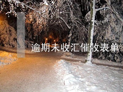 逾期未收汇催收表单