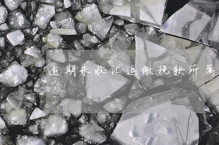 逾期未收汇追缴税款所属期