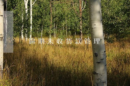 逾期未收货款管理