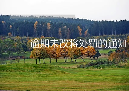 逾期未改将处罚的通知