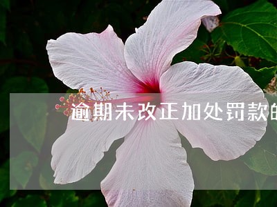 逾期未改正加处罚款的规定 逾期未改正加处罚款的规定