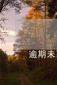 逾期未改正处罚款 逾期未改正处罚款