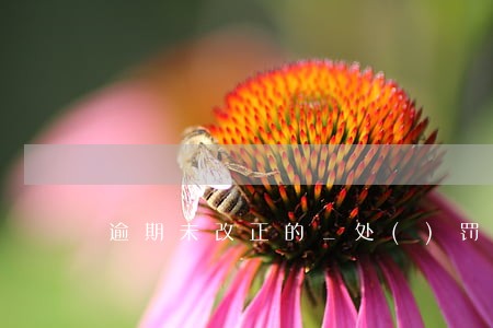逾期未改正的_处()罚款