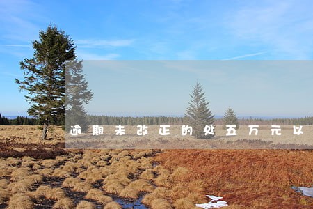 逾期未改正的处五万元以上
