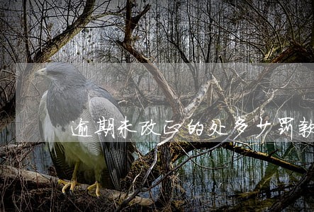逾期未改正的处多少罚款