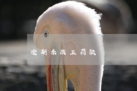 逾期未改正罚款