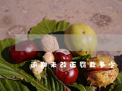 逾期未改正罚款多少 逾期未改正罚款多少